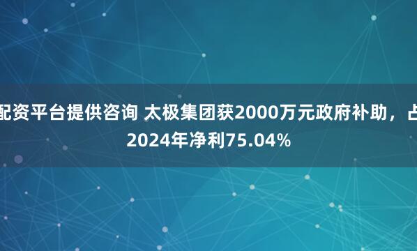 配资平台提供咨询 太极集团获2000万元政府补助，占2024年净利75.04%